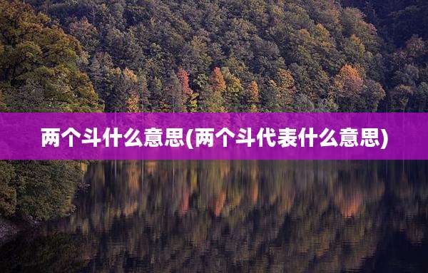 两个斗什么意思(两个斗代表什么意思)