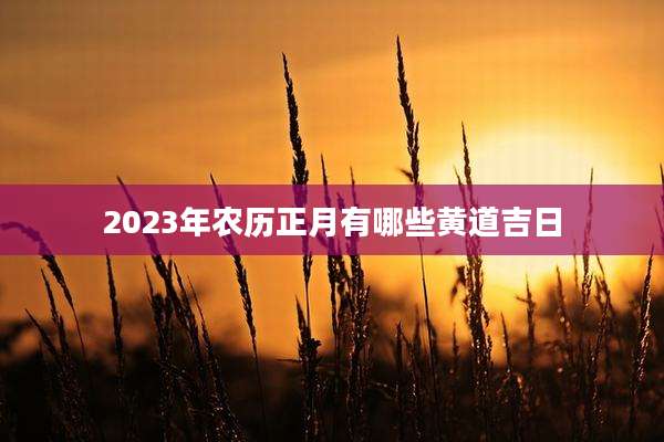 2023年农历正月有哪些黄道吉日