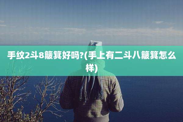 手纹2斗8簸箕好吗?(手上有二斗八簸箕怎么样)