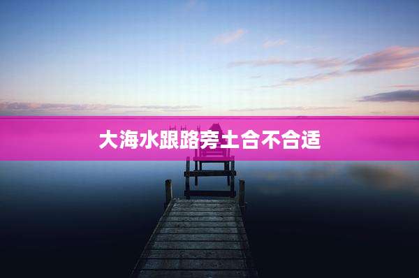 大海水跟路旁土合不合适