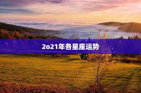 2o21年各星座运势