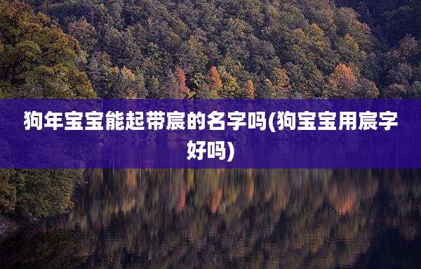 狗年宝宝能起带宸的名字吗(狗宝宝用宸字好吗)