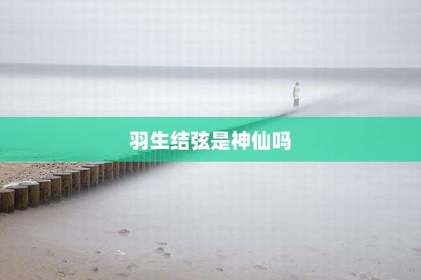 羽生结弦是神仙吗