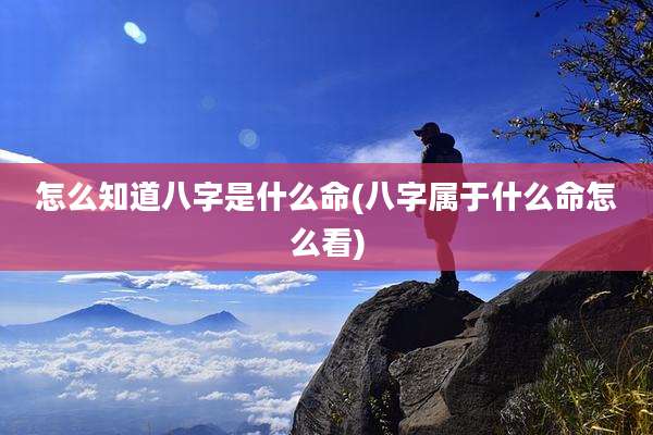 怎么知道八字是什么命(八字属于什么命怎么看)