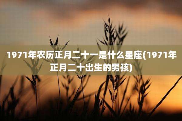 1971年农历正月二十一是什么星座(1971年正月二十出生的男孩)