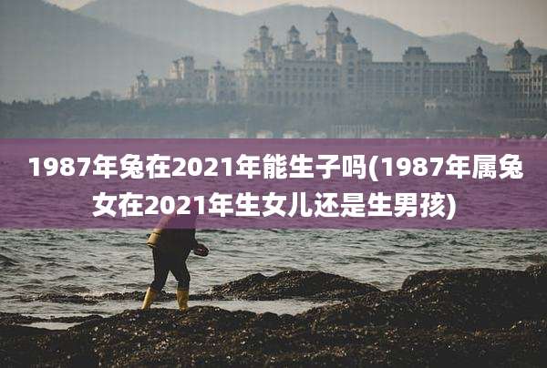 1987年兔在2021年能生子吗(1987年属兔女在2021年生女儿还是生男孩)