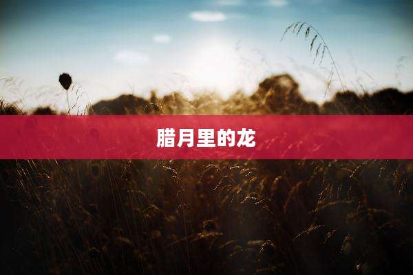 腊月里的龙