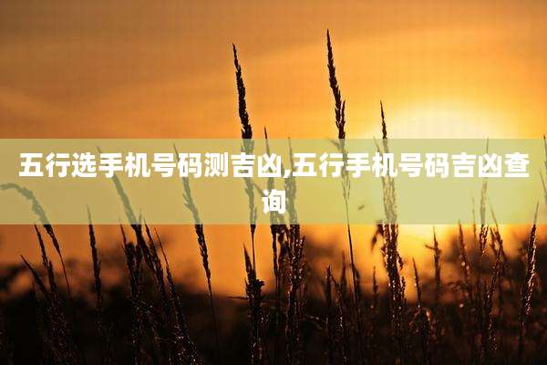 五行选手机号码测吉凶,五行手机号码吉凶查询