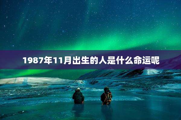 1987年11月出生的人是什么命运呢