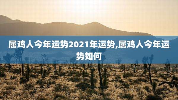 属鸡人今年运势2021年运势,属鸡人今年运势如何