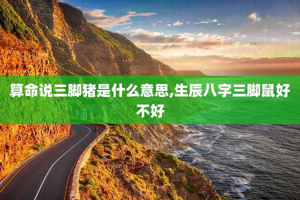 算命说三脚猪是什么意思,生辰八字三脚鼠好不好
