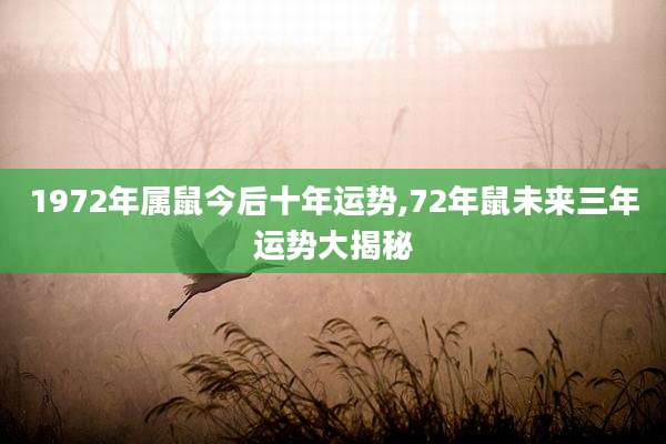 1972年属鼠今后十年运势,72年鼠未来三年运势大揭秘