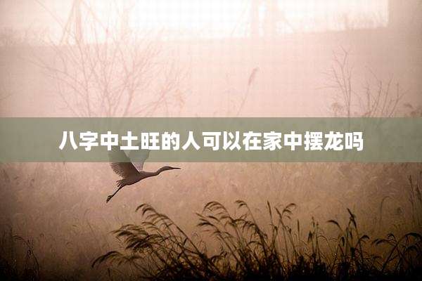 八字中土旺的人可以在家中摆龙吗