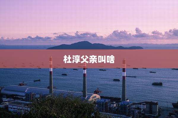 杜淳父亲叫啥