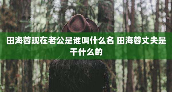 田海蓉现在老公是谁叫什么名 田海蓉丈夫是干什么的