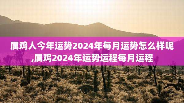 属鸡人今年运势2024年每月运势怎么样呢,属鸡2024年运势运程每月运程