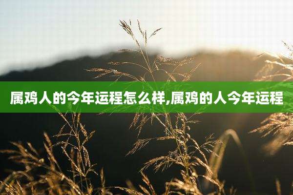 属鸡人的今年运程怎么样,属鸡的人今年运程