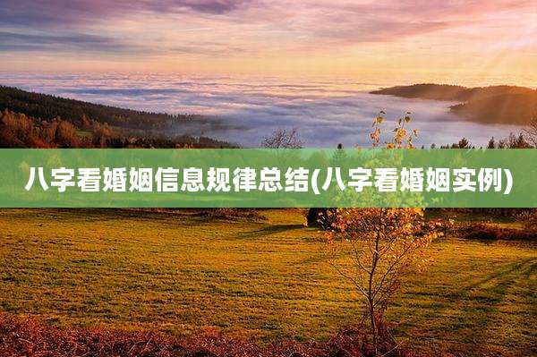 八字看婚姻信息规律总结(八字看婚姻实例)