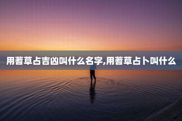 用蓍草占吉凶叫什么名字,用蓍草占卜叫什么