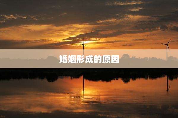 婚姻形成的原因
