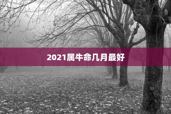 2021属牛命几月最好