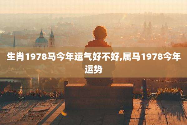 生肖1978马今年运气好不好,属马1978今年运势
