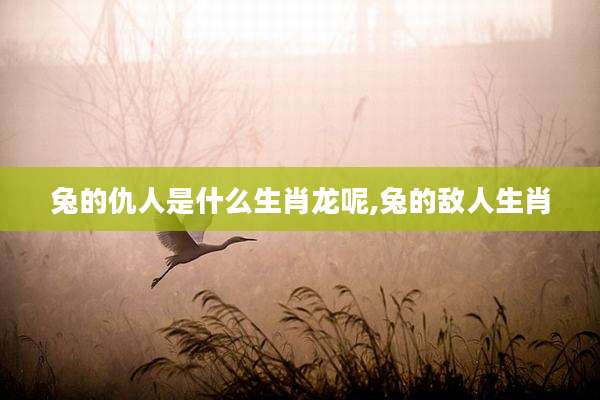 兔的仇人是什么生肖龙呢,兔的敌人生肖