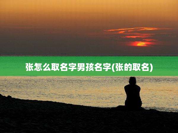 张怎么取名字男孩名字(张的取名)
