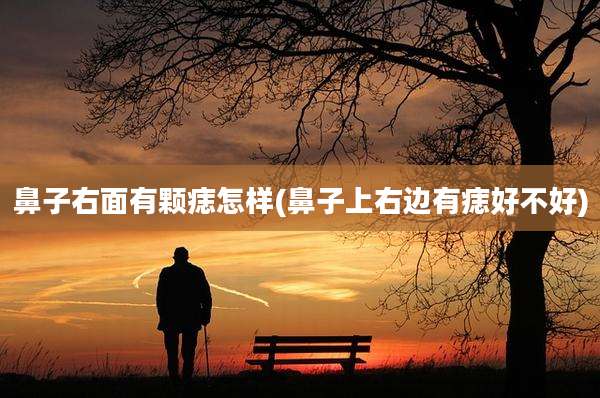 鼻子右面有颗痣怎样(鼻子上右边有痣好不好)
