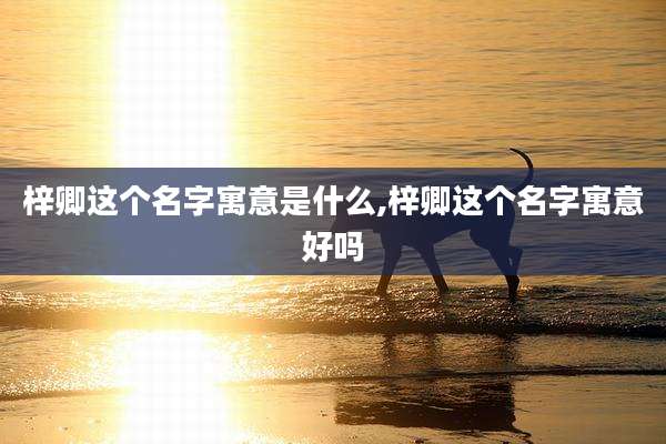 梓卿这个名字寓意是什么,梓卿这个名字寓意好吗