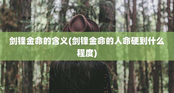 剑锋金命的含义(剑锋金命的人命硬到什么程度)