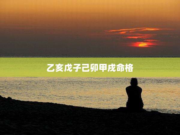 乙亥戊子己卯甲戌命格