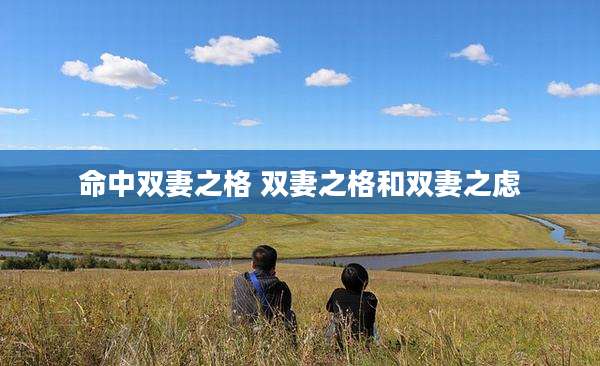 命中双妻之格 双妻之格和双妻之虑
