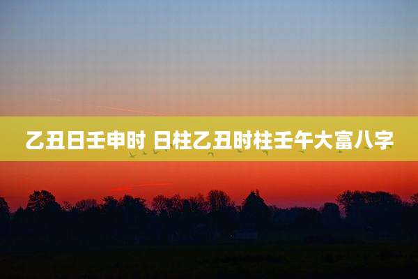 乙丑日壬申时 日柱乙丑时柱壬午大富八字