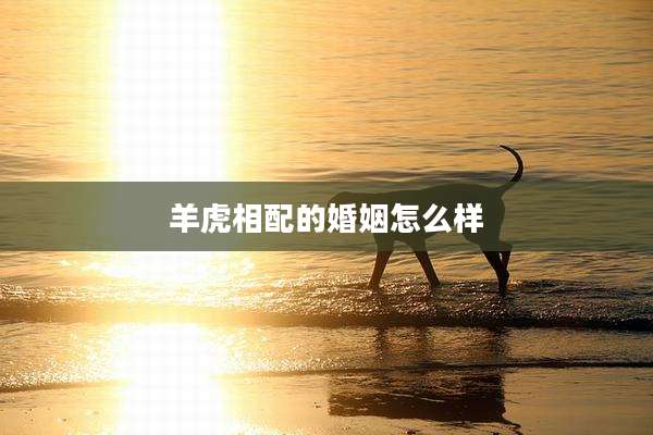 羊虎相配的婚姻怎么样