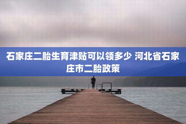 石家庄二胎生育津贴可以领多少 河北省石家庄市二胎政策