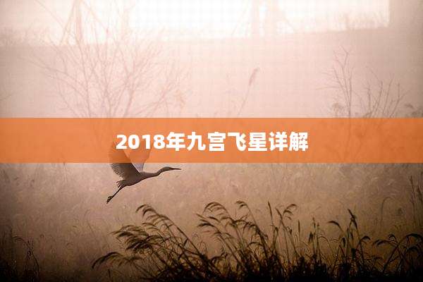 2018年九宫飞星详解