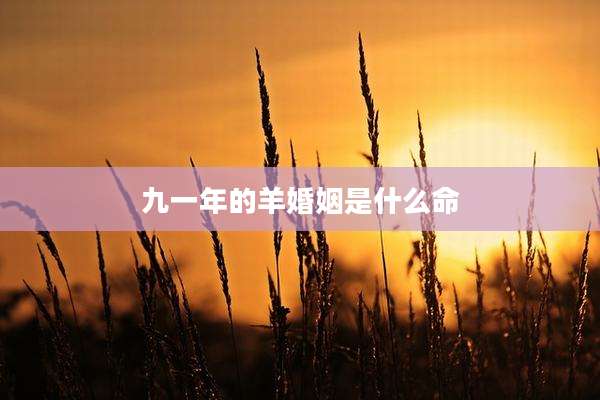 九一年的羊婚姻是什么命