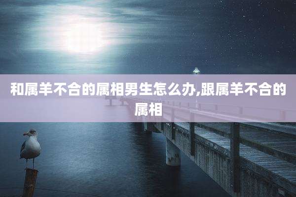 和属羊不合的属相男生怎么办,跟属羊不合的属相