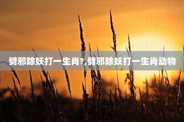 劈邪除妖打一生肖?,劈邪除妖打一生肖动物
