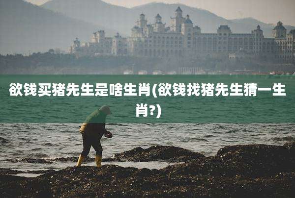 欲钱买猪先生是啥生肖(欲钱找猪先生猜一生肖?)