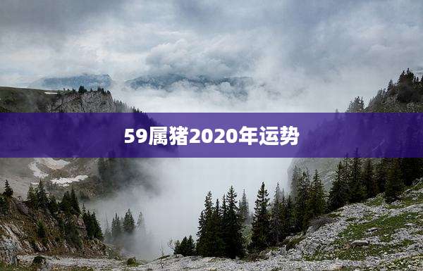 59属猪2020年运势