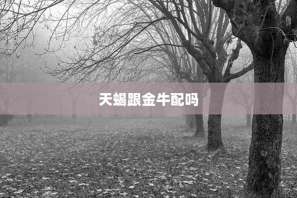 天蝎跟金牛配吗