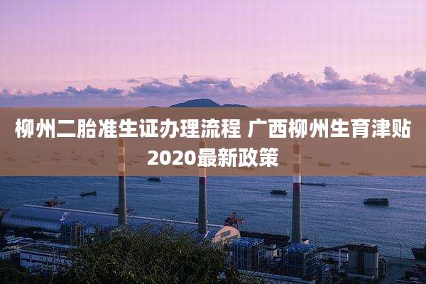 柳州二胎准生证办理流程 广西柳州生育津贴2020最新政策