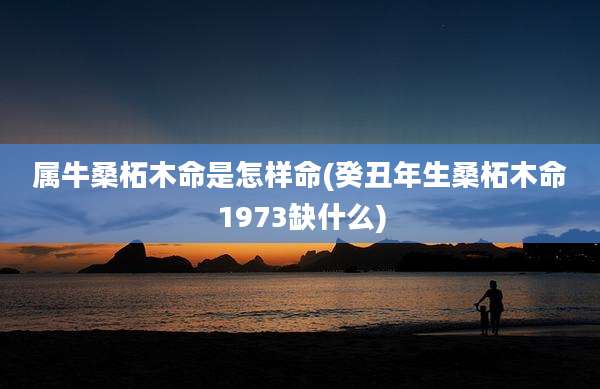 属牛桑柘木命是怎样命(癸丑年生桑柘木命1973缺什么)