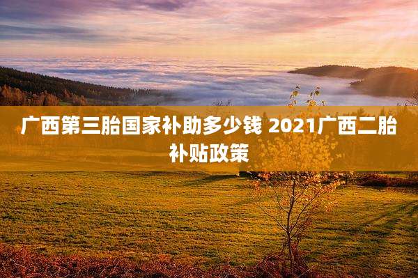 广西第三胎国家补助多少钱 2021广西二胎补贴政策