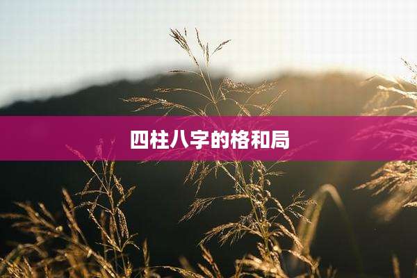 四柱八字的格和局