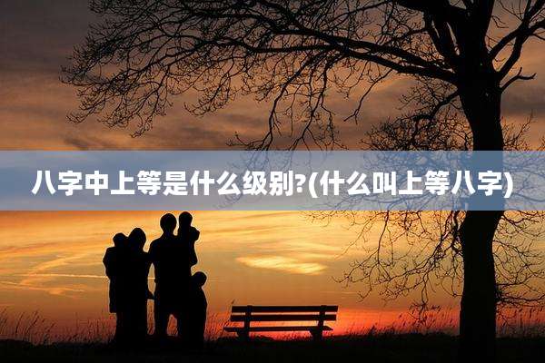八字中上等是什么级别?(什么叫上等八字)