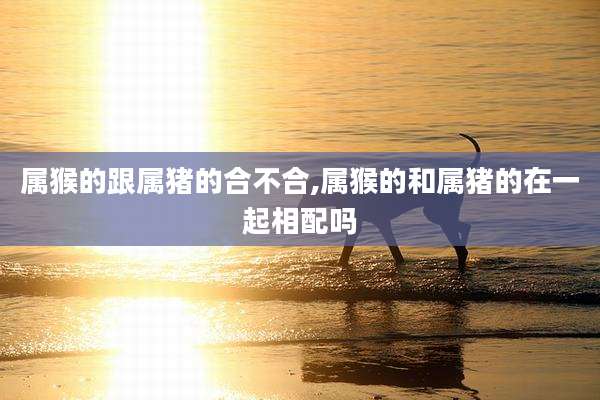 属猴的跟属猪的合不合,属猴的和属猪的在一起相配吗