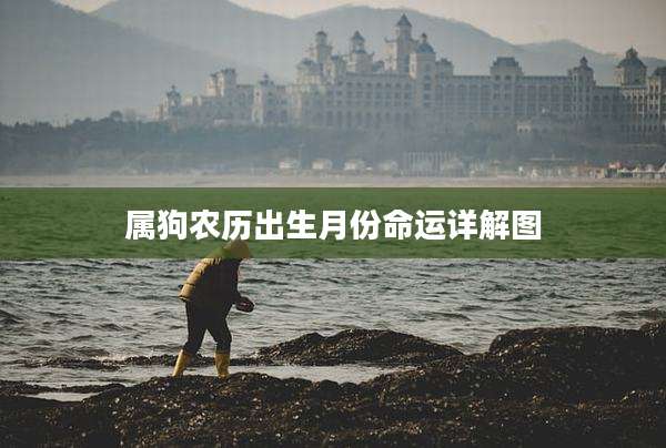 属狗农历出生月份命运详解图